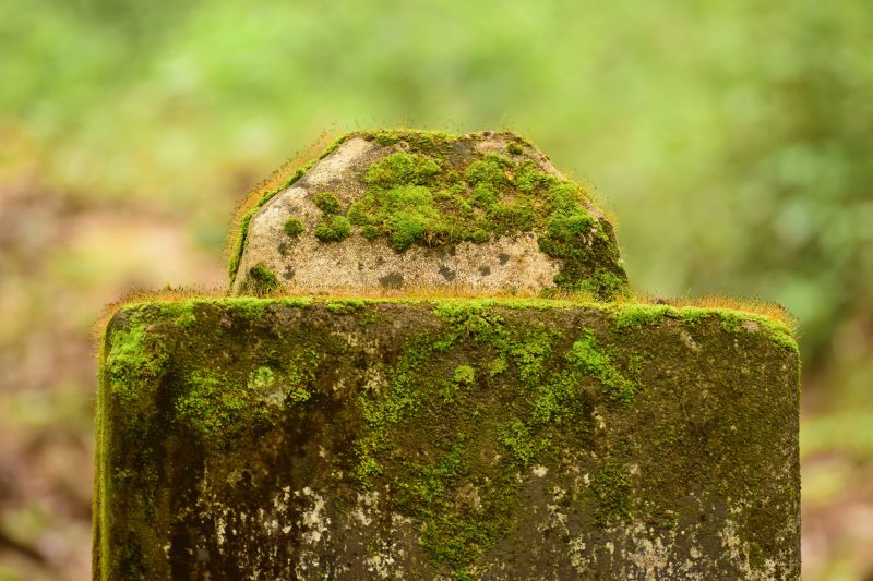 An old and Mossy Stone Boundary Marker for Surveying